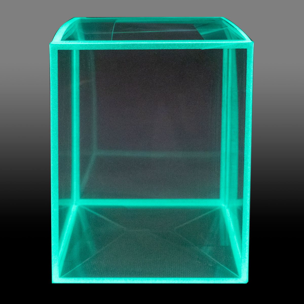 Vinyl Collectible Glow-in-the-Dark Soft Collapsible Protector Exclusive